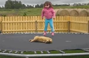 Spend the New Year encounter ursine child, how can you rancor he?