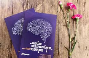 阿普莱诺家具公司 物流经典故事