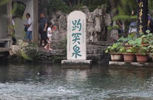 Bao dash forward spring this wrongly written or mi