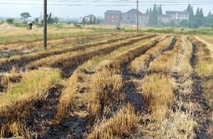 Inside small straw accumulate contain infinite wea