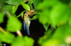 软件在线帮助测试 常用的软件测试工具有哪些?