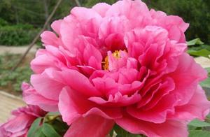 Tall person is tall person, knowing is that tall person those who make up is different