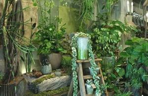 Secret garden, flower the four seasons blooms for you!