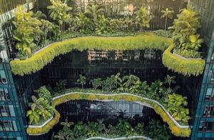 Singapore, city builds the perfect confluence with natural make green by planting trees