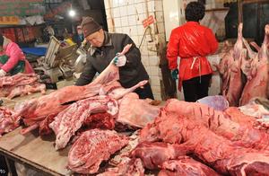 Someone says: Entrance pork quantity is little, the influence to domestic pig price but oversight, d