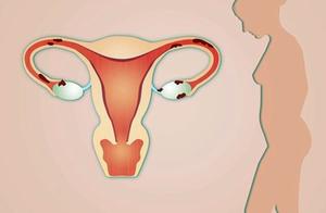 How doesn't the woman have an uterus to meet? Con