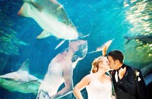 10 pieces cross the picture that Yu Qiao combines,