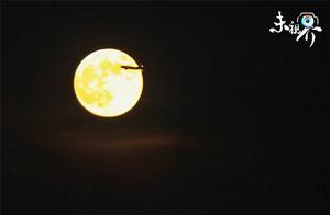 The moon of 15 15 circles! Jing of Beijing CBD night sky shows 