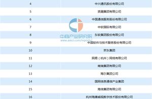 全国软件企业排名 国内医疗软件公司排名