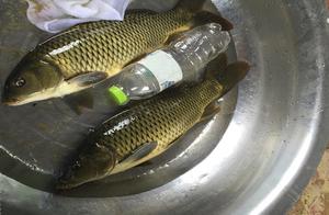 Make fishing nest material with food crops food gr