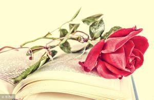 Life: 5 do not do, 5 do not say, 5 do not hand in!