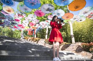 The ground of small numerous travel with little-kn