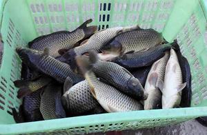 These are not common very useful however fishing s