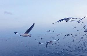 Become really others is foolish ah, when your hold back is worn bad, ethereal seabird sees!