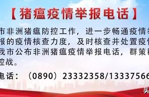 Does the net pass Hainan does another villages and