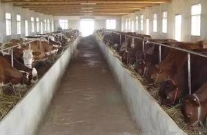 3 kinds of of American produce current forms; The 