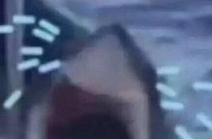 Break down the expressional bag that cries greatly: You my shark