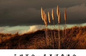 3 view should not, whether do we make do with even