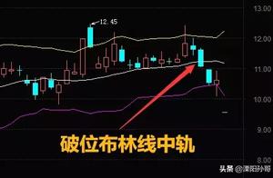 220 thousand shareholder 