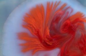 All sorts of indispensable bacteria in aquarium zo