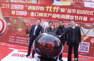 Double 11 whale of 11 · taste a ceremony that sta