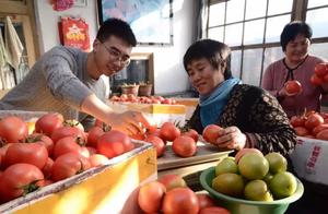 "Feed " word crossing defends safety! " securin