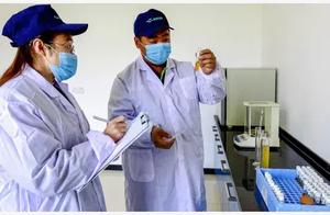 Quality of drug of animal of first phase monitored