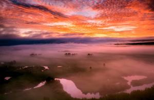 Talk about love! Need little to cover a region, ta