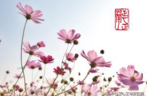 The one life that how plants should we live? Will 