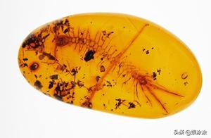 European this face that be hit, their ancestor bef