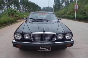 Edition of crock set limit to of nimble leopard XJ-V12 