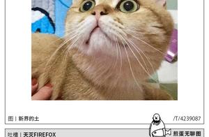 Disappointing figure spits groove greatly - 201905