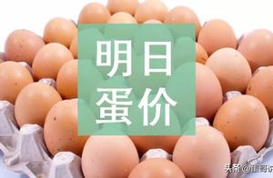 Tomorrow (on April 27) egg price is forecasted