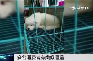 Are 30 much people doubt Piao why identical experience? Buy a dog a few days to be not disease to di