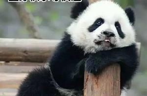 Took so old express delivery, how do you know to s