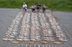 The United States still eliminates flush Asian carp without method up to now, little imagine they mo