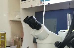 提供家具维修公司 我想学家具维修好不好