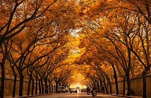 A misdirect the half story of a few acting people