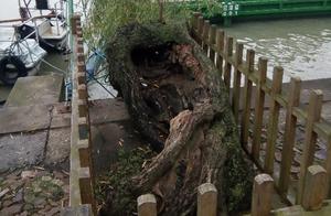 Bagatelle is done bad, the important matter is not done!