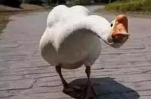 Alarmingly dangerous! One woman is flown to by kic