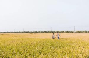 Original, good marriage and bad marriage, differ this