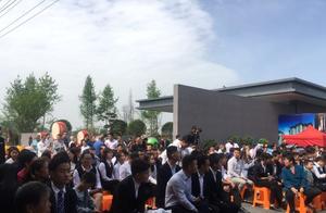 In new ferry, miss love to be able to search again