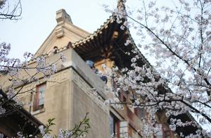 The beauty of Wuhan university, can be oriental cherry only not just oh ~