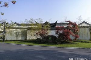 Wen Zhuxiang of twitter of Zhuang Ting of banyan o