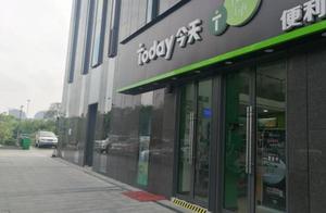 Did development business go broke how to should do