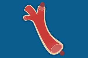 Hemal Reagan is done not have originally " rubbis