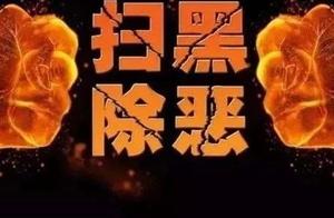 Does this gang have many " black " ? 115 people 