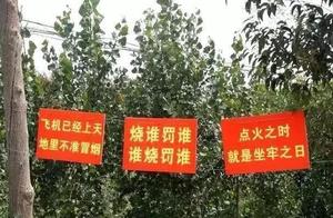 Strange flower catchphrase " hot eye " , go out 