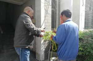 Green east the village is street agency is forbidden dweller building courtyard 