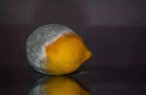 Mildewy food did not eat again! Its harm you do no